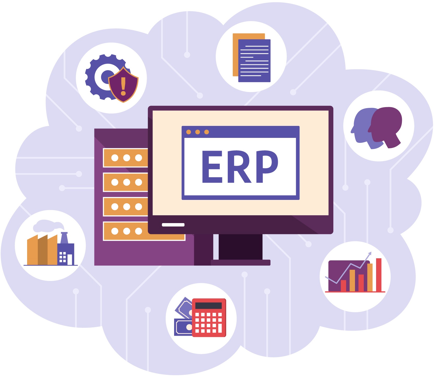 ERP Consultancy